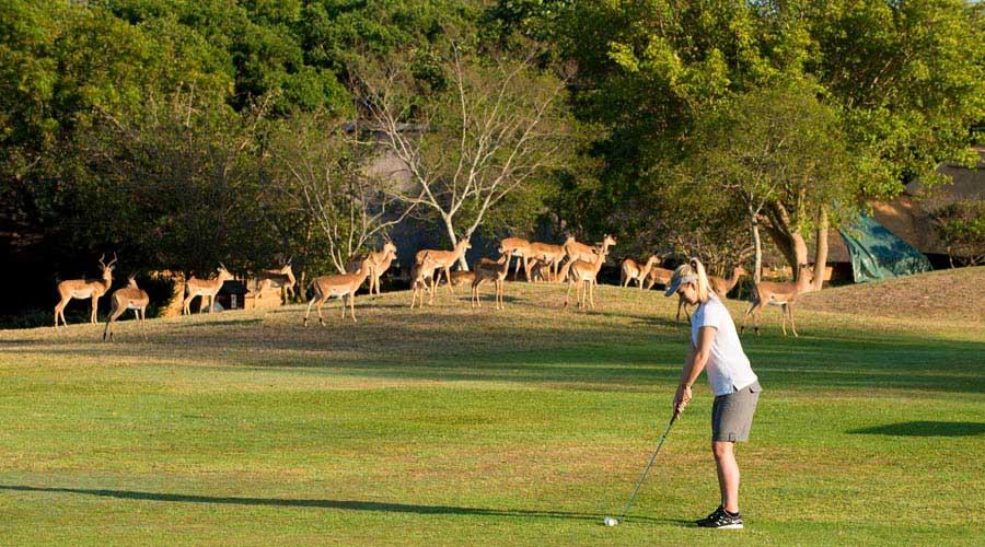 Kruger Park Lodge Гейзівью Екстер'єр фото